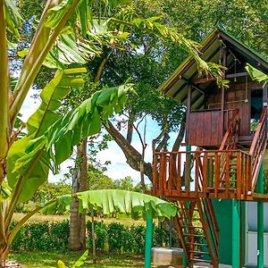 Pride Rock Villa & Tree House
